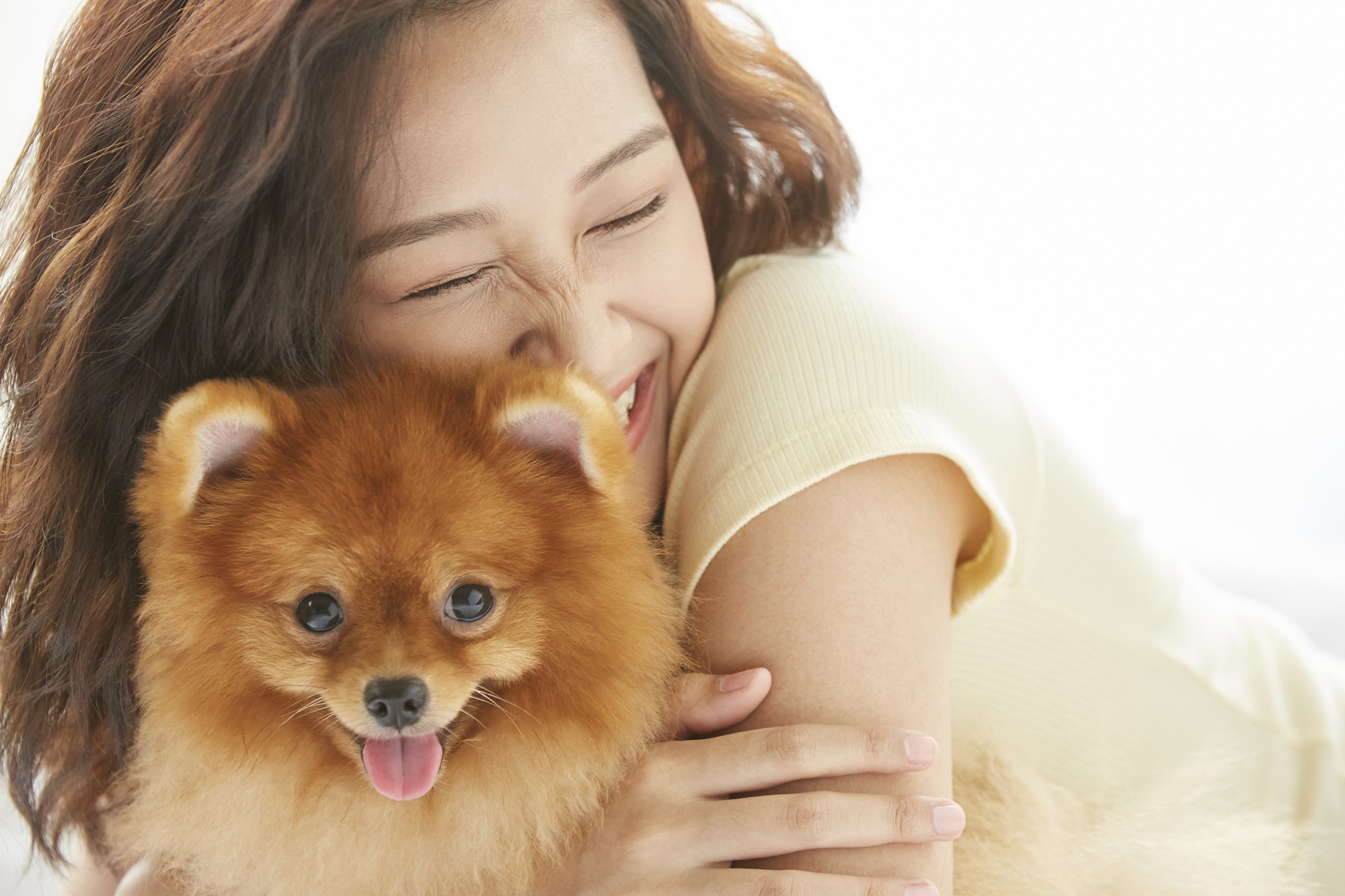 ゴミ屋敷にペットがいる時はどうする？安全に安く片付ける方法