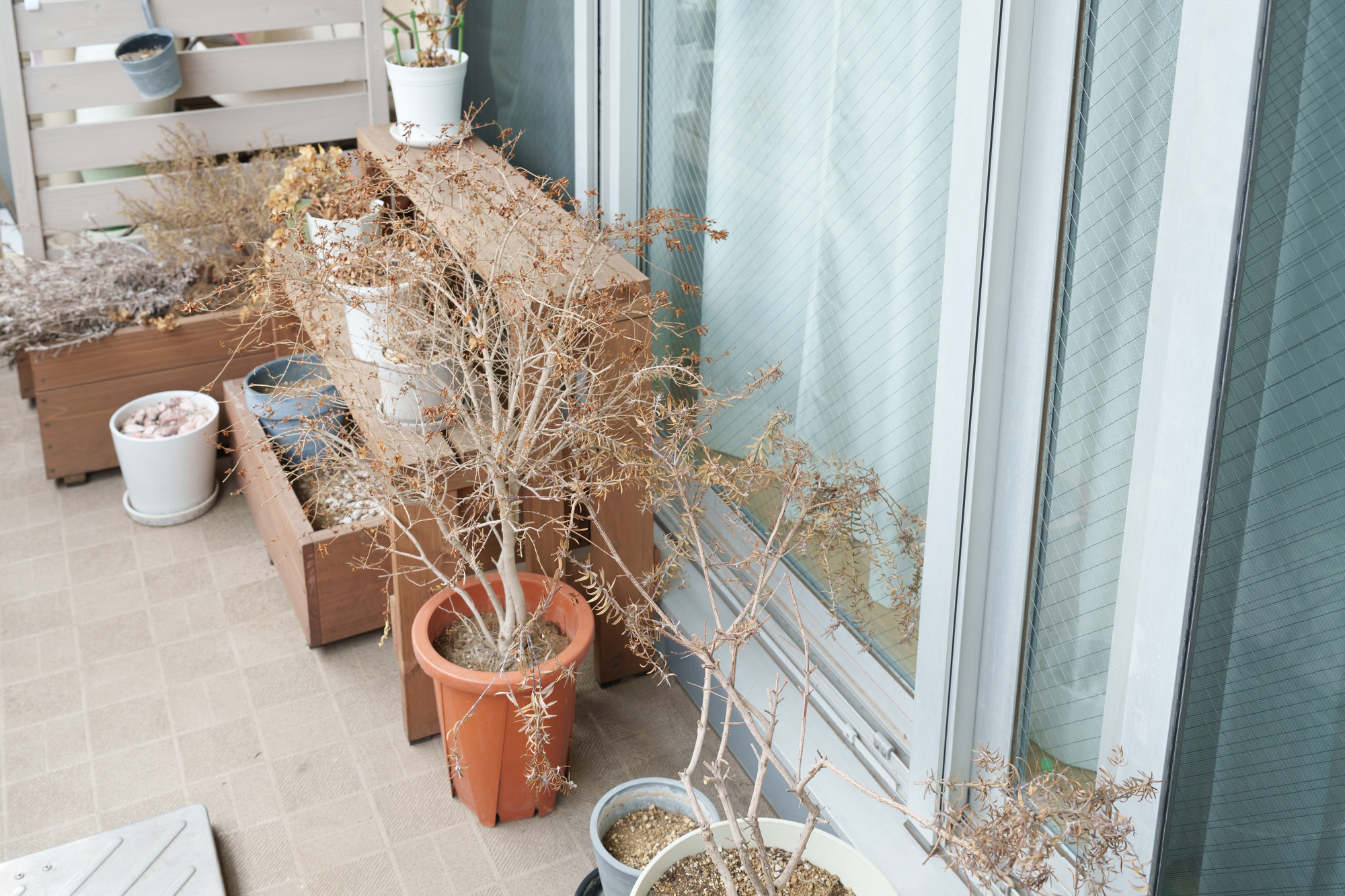 観葉植物の土の処分方法